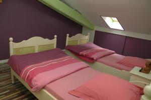 Chambres d'hotes/B&B La Palombiere : photos des chambres