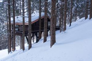 Hebergement Cabane entre terre et ciel : Cabane dans les Arbres Mont-Blanc