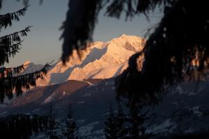 Hebergement Cabane entre terre et ciel : photos des chambres