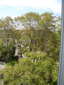 Hebergement Residence Carpe Diem : photos des chambres