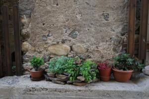Hebergement Kasia : photos des chambres