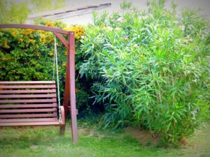 Hebergement Les Gites de Cayenne - Gite Olivia : photos des chambres