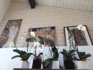 Hebergement La Prairie : photos des chambres