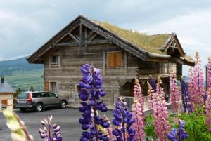 Hebergement Ker Bela : photos des chambres