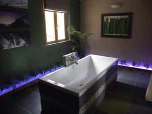 Chambres d'hotes/B&B Chambre de l'Ourse : photos des chambres