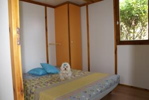 Hebergement Camping Le Dolium : photos des chambres