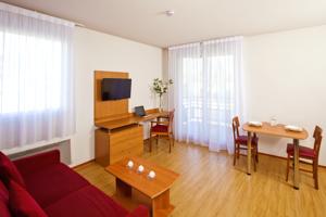Hebergement Sejours & Affaires Geneve Saint Genis : Appartement 1 Chambre (4 Adultes)