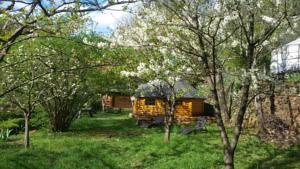 Hebergement Natur'anes : photos des chambres