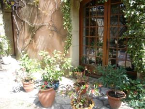 Hotel La Passiflore : photos des chambres