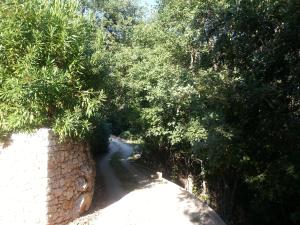 Hebergement Spacious Dream Villa near Monaco : photos des chambres