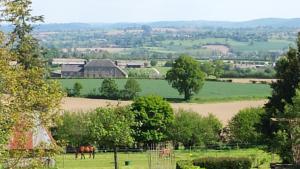 Chambres d'hotes/B&B La Hiette : photos des chambres