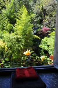 Chambres d'hotes/B&B La Forge de Montolieu : photos des chambres