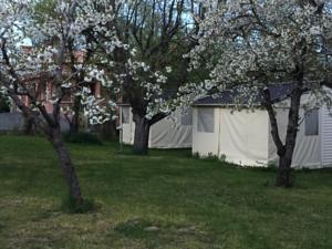 Hebergement Camping de Laragne : photos des chambres