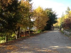 Hebergement Lakeview 180° : photos des chambres