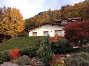 Hebergement Lakeview 180° : photos des chambres