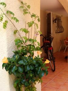 Appartement La Tranquilita : photos des chambres