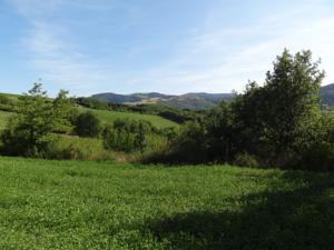 Hebergement Les Hauts de Camares : photos des chambres