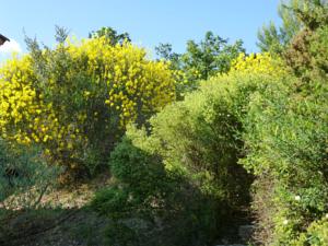 Hebergement Villa Le Tournesol : photos des chambres