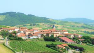 Chambres d'hotes/B&B Au Coeur Du Beaujolais : photos des chambres