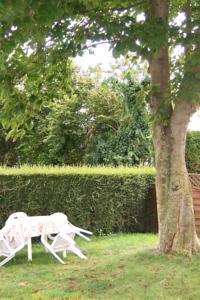Hebergement Ferme de la Ruette : photos des chambres