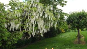 Hebergement Gite la Grange : photos des chambres