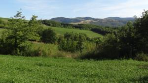 Hebergement Les Hauts de Camares : photos des chambres
