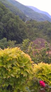 Appartement Avene : photos des chambres