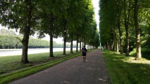 Hebergement Les Carres : photos des chambres