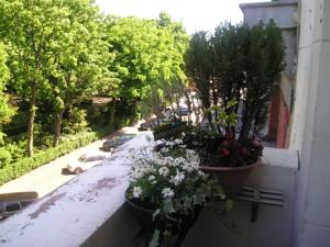 Chambres d'hotes/B&B Chambres D Hotes Du Parc : photos des chambres