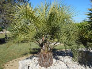 Hebergement Gite Anduze Le Clos Des Cigales : photos des chambres