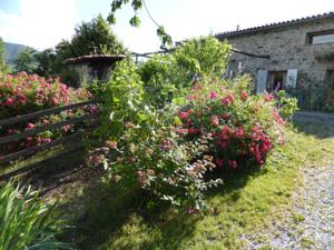 Hebergement Le Mas De La Siffleuse : photos des chambres