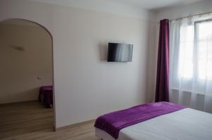Hotel Lac Et Foret : photos des chambres