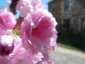 Hebergement Gite des Gabelous : photos des chambres