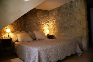Chambres d'hotes/B&B Domaine Chanoine Rambert : photos des chambres