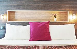 Hotel Kyriad Belfort : photos des chambres