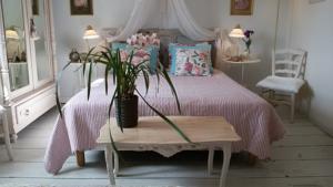 Chambres d'hotes/B&B L'Ile aux Mimosas : photos des chambres