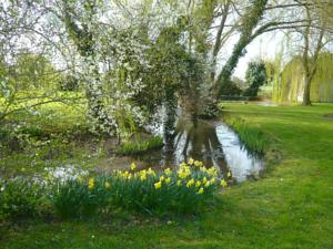 Hebergement Holiday Home La Romanesque : photos des chambres