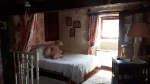 Chambres d'hotes/B&B Le Cloterriou : photos des chambres