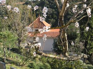 Hotel Le Relais Des Chartreuses : photos des chambres