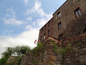 Hebergement Gite Dourdou - Les Hauts de Camares : photos des chambres