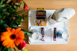 Hotel Kyriad Orthez : photos des chambres