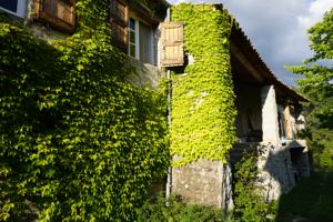Chambres d'hotes/B&B Le Hameau des Liesses : photos des chambres