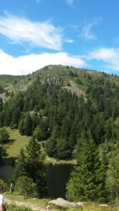 Hebergement Chalet du Feignole : photos des chambres