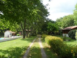 Hebergement Les Chalets du Gelat : photos des chambres