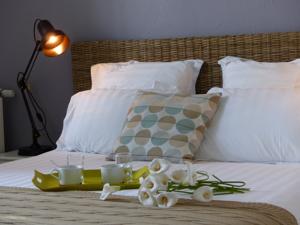 Hebergement Maison d'Hotes du Domaine Fournie : photos des chambres