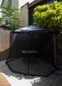Hebergement Gite les Hibiscus : photos des chambres