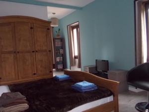 Hebergement Gite les Hibiscus : photos des chambres