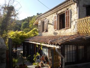 Hebergement Gite les Hibiscus : photos des chambres