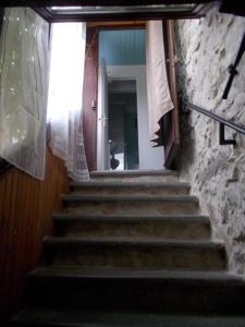 Hebergement Gite les Hibiscus : photos des chambres
