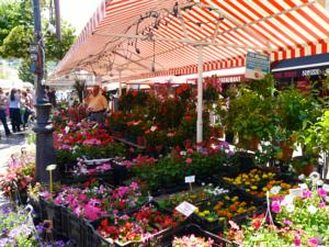 Hebergement La Provencale : photos des chambres